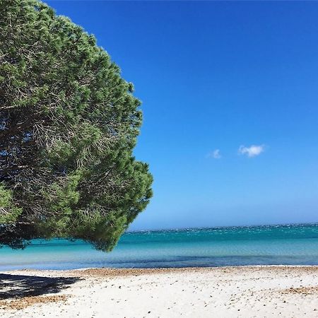 Appartement Proche Des Plus Belles Plages Porto-Vecchio  Kültér fotó